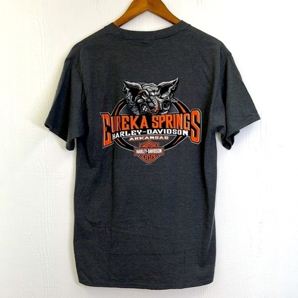 Harley Davidson - Eureka Springs Arkansas With Hog Gray Short Sleeve Shirt Med - Picture 9 of 10